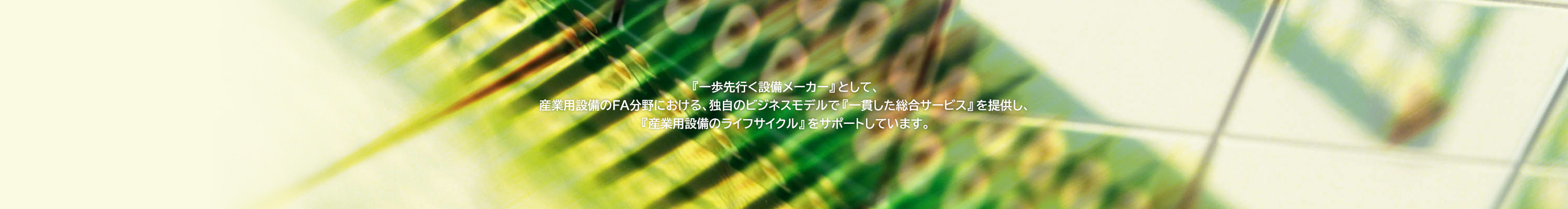 『一歩先行く設備メーカー』として、産業用設備のFA分野における、独自のビジネスモデルで『一貫した総合サービス』を提供し、『産業用設備のライフサイクル』をサポートしています。